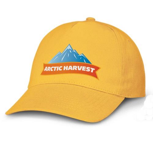 Eden 5 Panel Heavy Brushed Cotton Cap