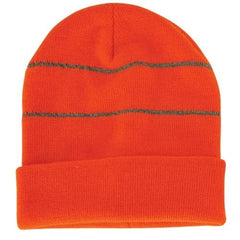 Icon Fluro Beanie