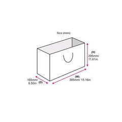 CMYK Printed Paper Bags