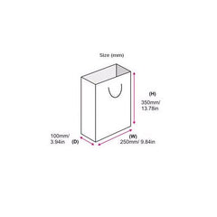 CMYK Printed Paper Bags