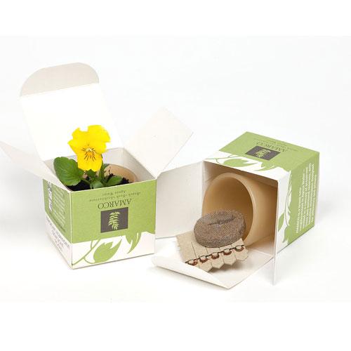 Seed Pot Box