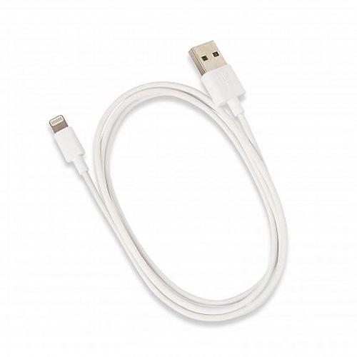 Eden Travel Adapter