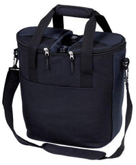 Phoenix Hot & Cold Picnic Cooler