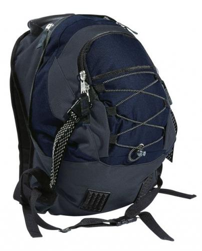 Phoenix Trecker Backpack