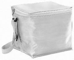 Small Cooler Bag