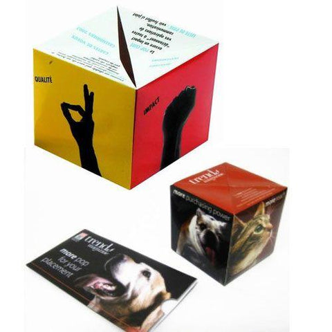 Pop Up Paper Cube