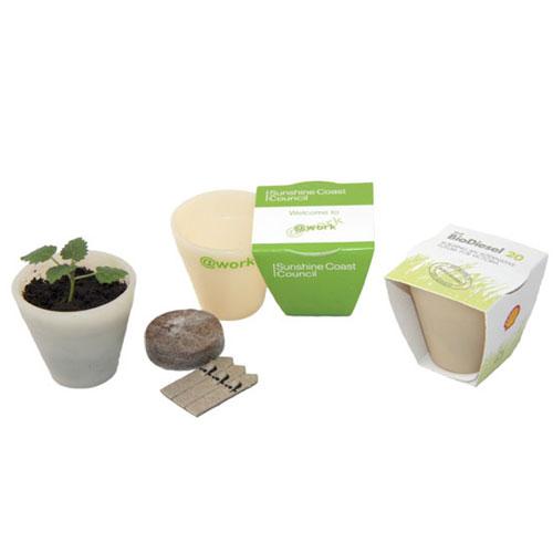 Seed Pot with Wrap