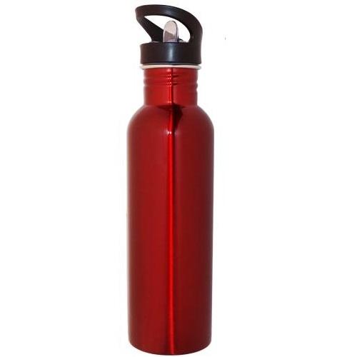 Promotional 800ml Stainless Steel Drink Bottle